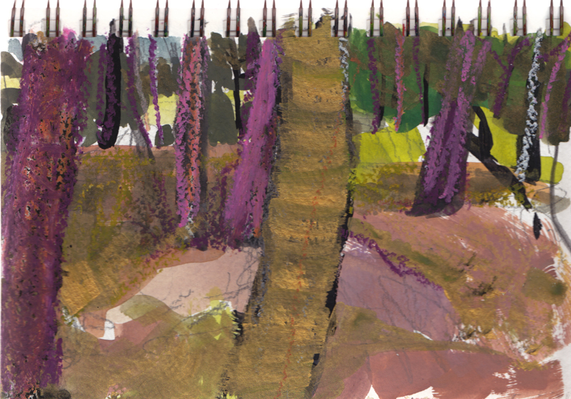 Pine Grove at Hirbet Saadim